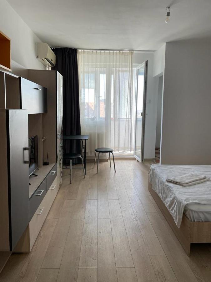 Bega Cirumvalatiunii One Room Apartment- 4 Timişoara Buitenkant foto