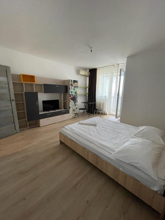 Bega Cirumvalatiunii One Room Apartment- 4 Timişoara Buitenkant foto